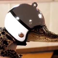 bayikuat