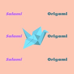Salami Origami