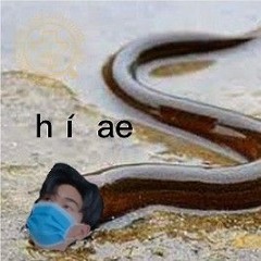 truongson