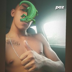 enzin