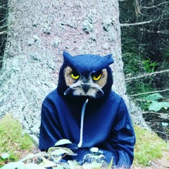WiseOwl