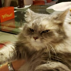 Masdan mo ang kapaligiran by ASIN (Cover)