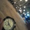 C-GiT HaToRi 46