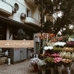 Noura Khaled
