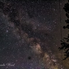 MidnightLight