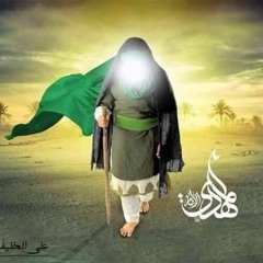 احب الله من احب حسينا
