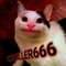 PLXYAKILLER666 // POWERED CULT