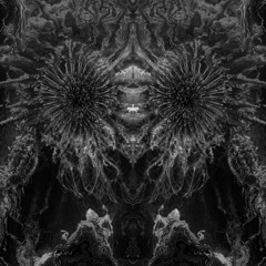 Darkwin