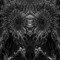 Darkwin