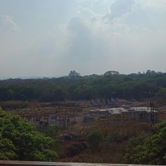 jassi