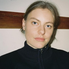 vilde wahl