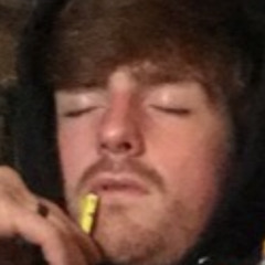 terrybird27