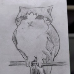 juan gran bobo malparido hpta