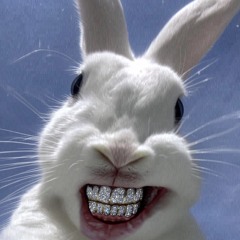 dj-bunny