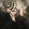 Kisuke
