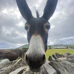 mín