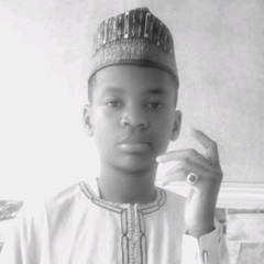 sadeeq shehu