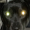 Smudge