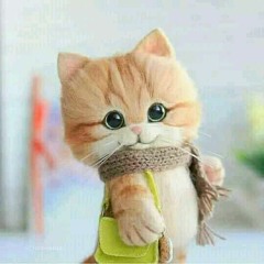 manar.mohamed