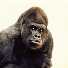 Carlos Wba Hernandez