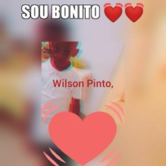 Wilson Pinto💖