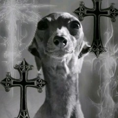 PHILIP BARBOBSKIN