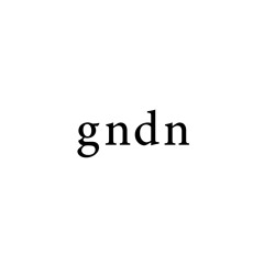 gndn_20250101