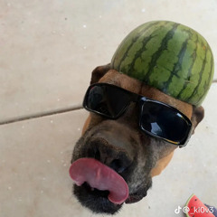 fř_łüǐš