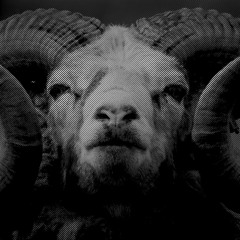 ALL THE ANIMALS IN THE WORLD