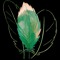 LoveDivineSpirit.com