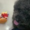 tansỳ