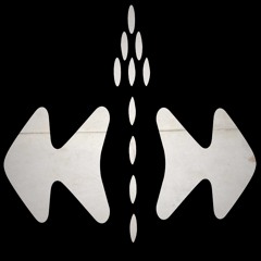 D1lr