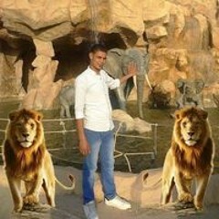 Mohamed Magdy
