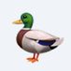 PERSEGUINT LA PASTANAGA