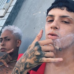Elicê