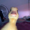 Louis