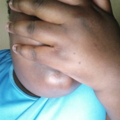 she fw zavier