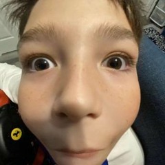 ToxicBee12