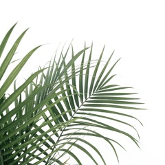 wI_Cd