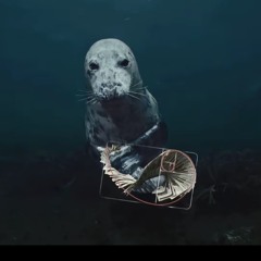 RunEmDownTillTheyDieMike