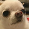 yoon