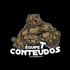 EQUIPE T CONTEÚDOS - PERFIL 1