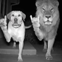 Один человек в этом мире