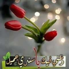 ام احمد