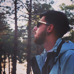mehdilic
