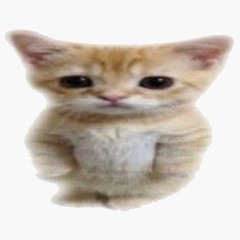 bananaketchupbananaketchup