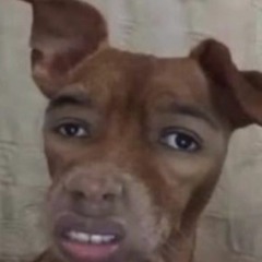 Btdtrap_2x