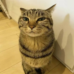 никнейм лил бейби занят? нет?