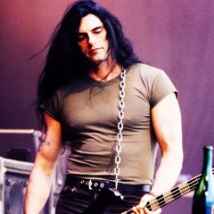 vampsteele