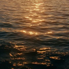 JoelRisen Instrumentals
